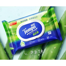 得宝(Tempo) 湿厕纸 芦荟植萃精华 40片便携装 可搭配卫生纸使用 私密呵护